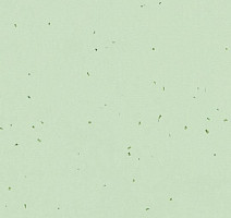 Линолеум Forbo Sphera Energetic 50238 sea green фото 1 | FLOORDEALER